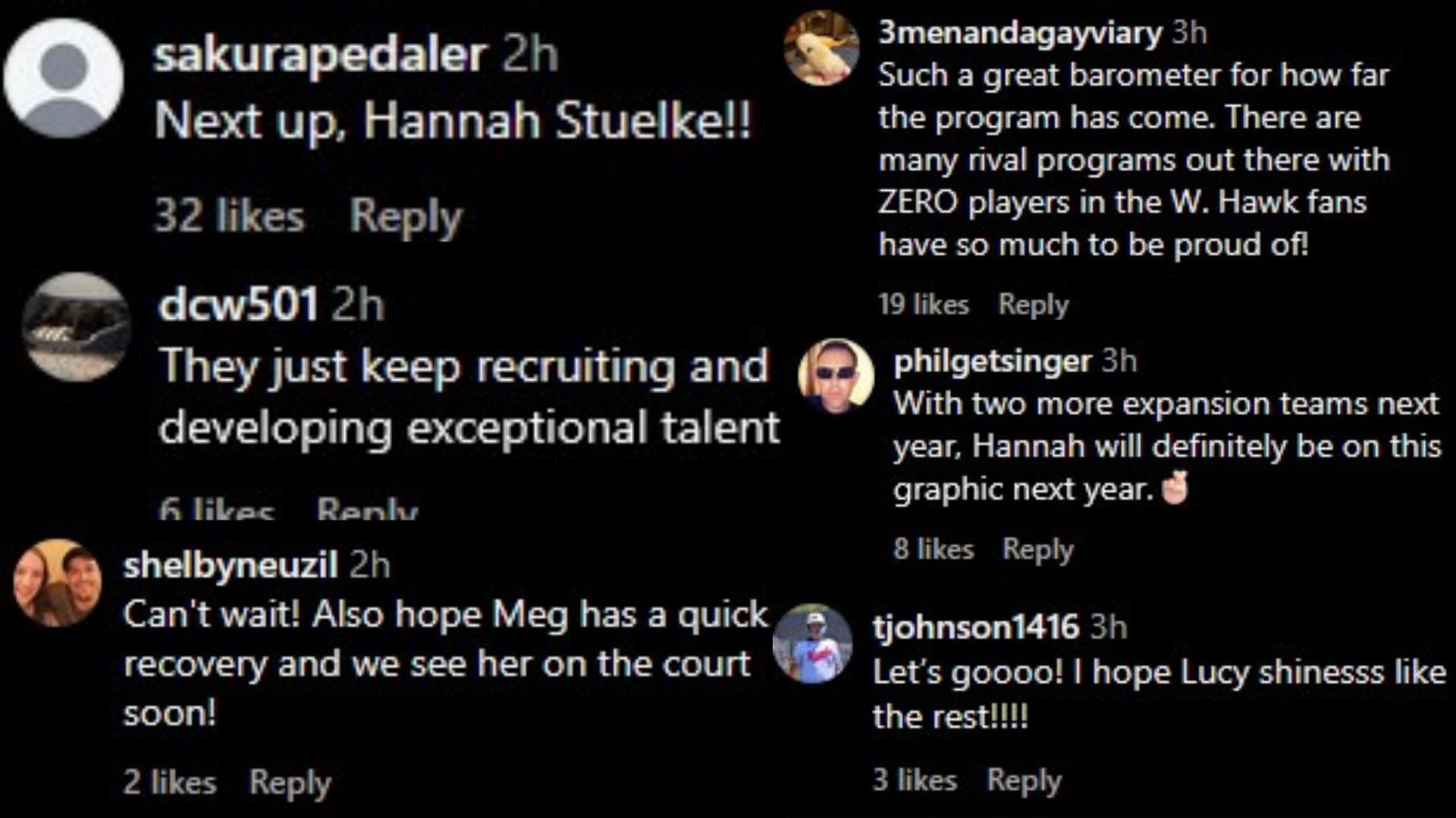 Image via the comments of the Instagram post.